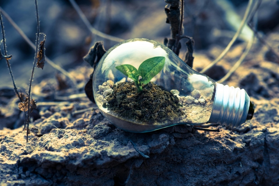 ClimateLaunchpad 2025 – jetzt bewerben!