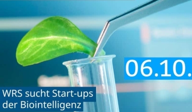 Regionale Start-ups für den Biointelligenzkongress gesucht